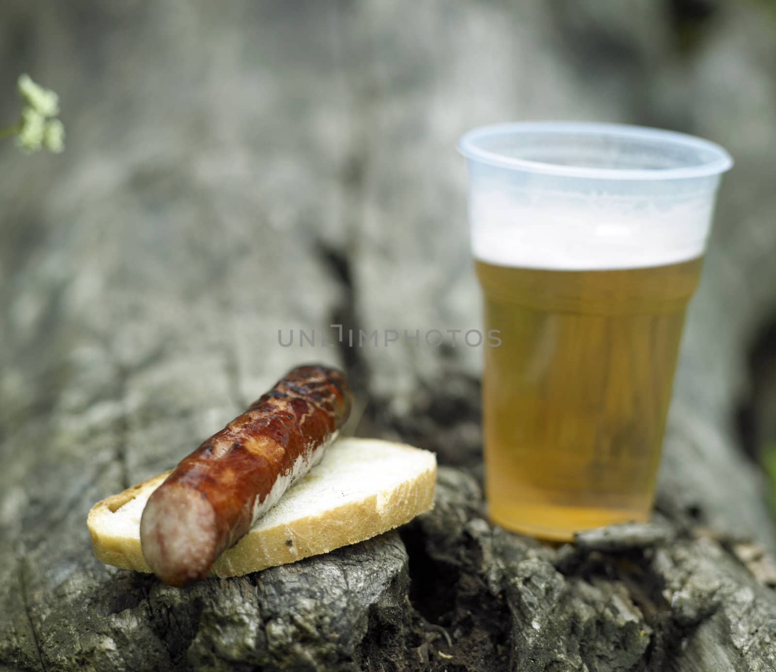grilled sausage with beer