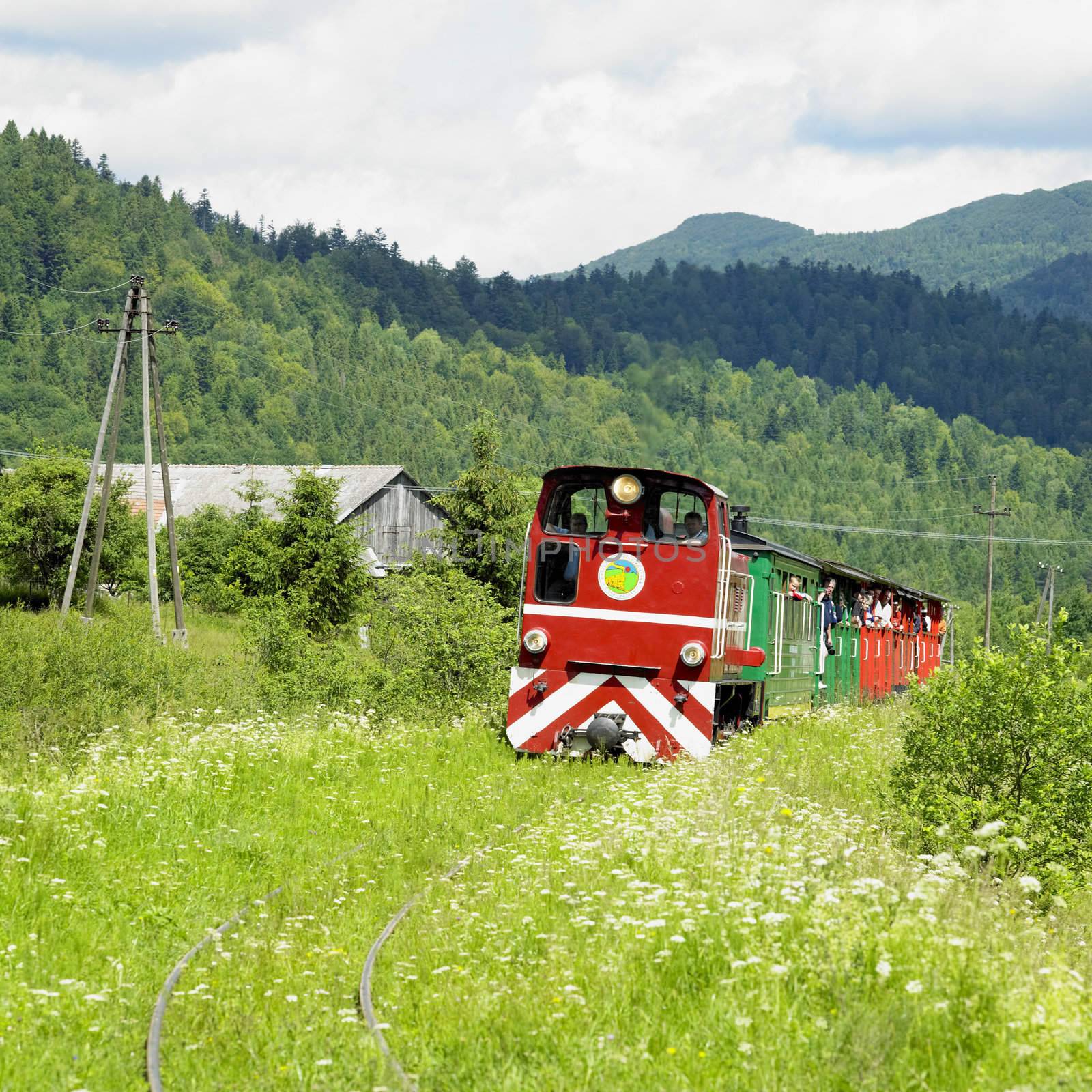 Bieszczadska wood railway, Dolzyca - Przyslup, Poland by phbcz