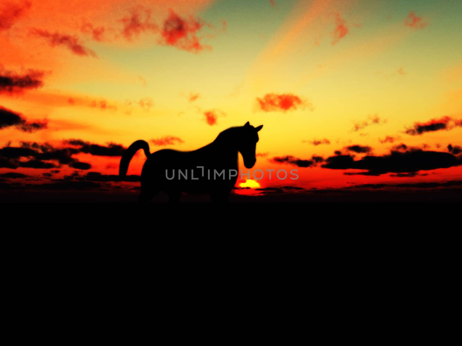 A horse in the foreground with a sunset background.