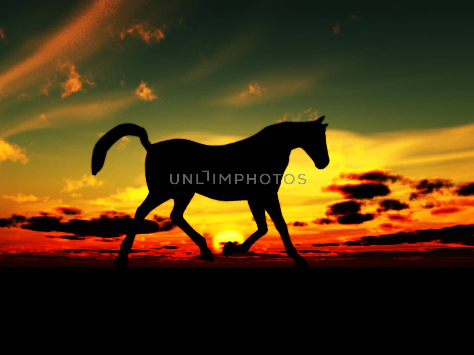 A horse in the foreground with a sunset background.