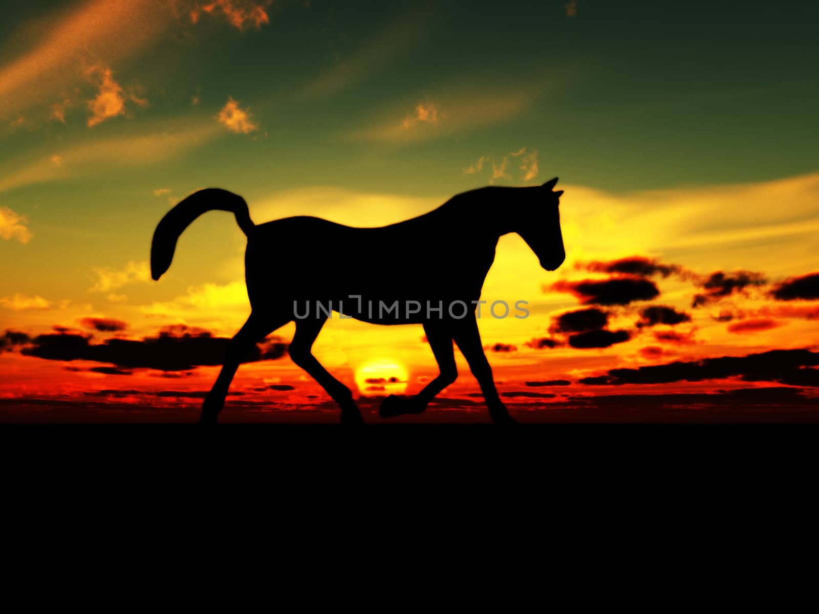 A horse in the foreground with a sunset background.
