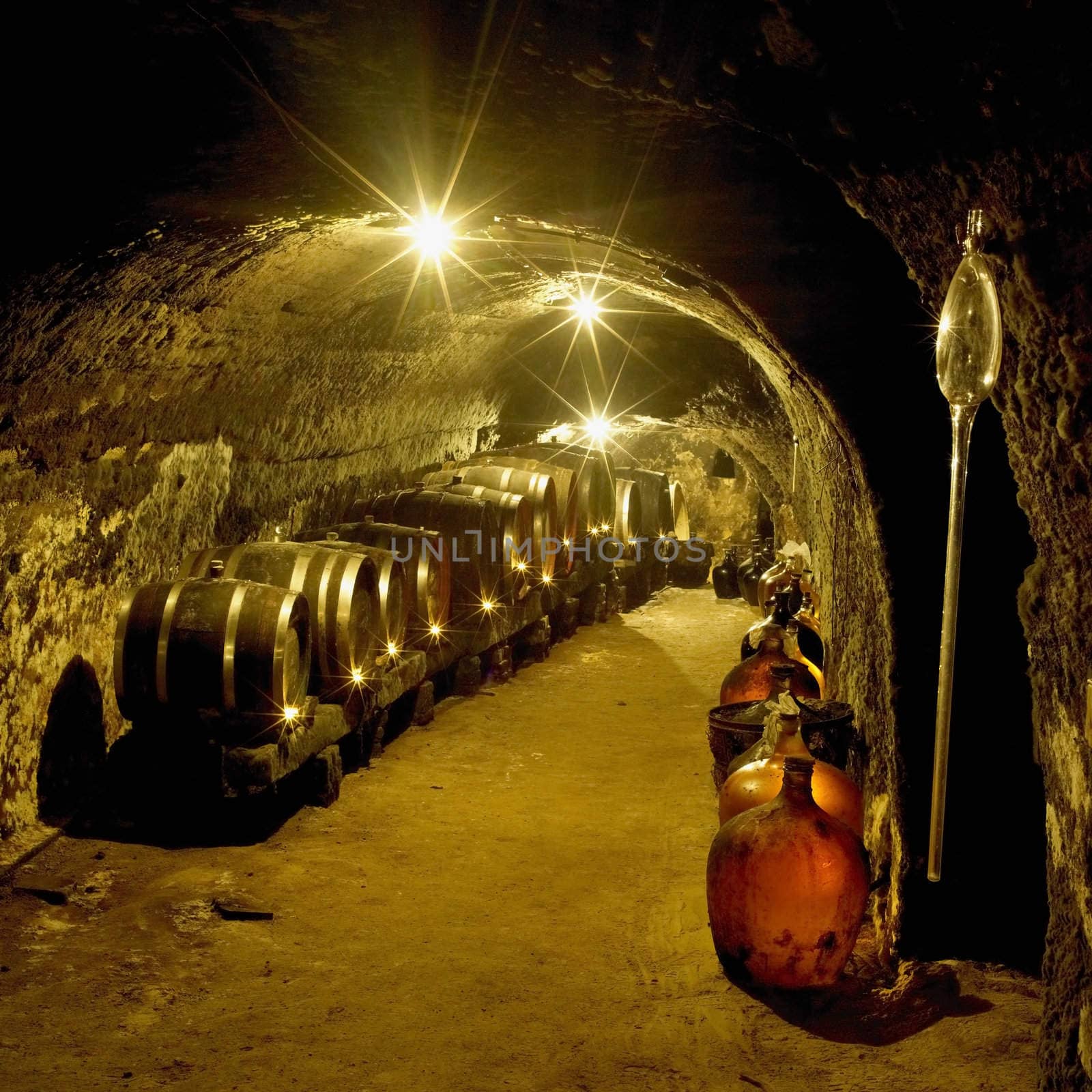 wine cellar, Vrba Winery, Vrbovec, Czech Republic by phbcz