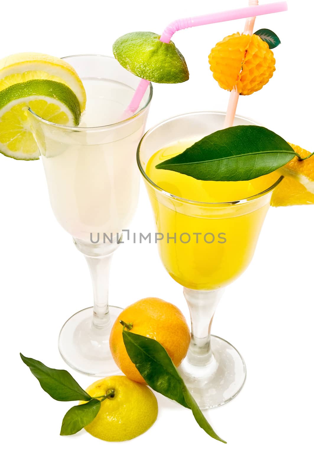 tropical cocktail on the white background
