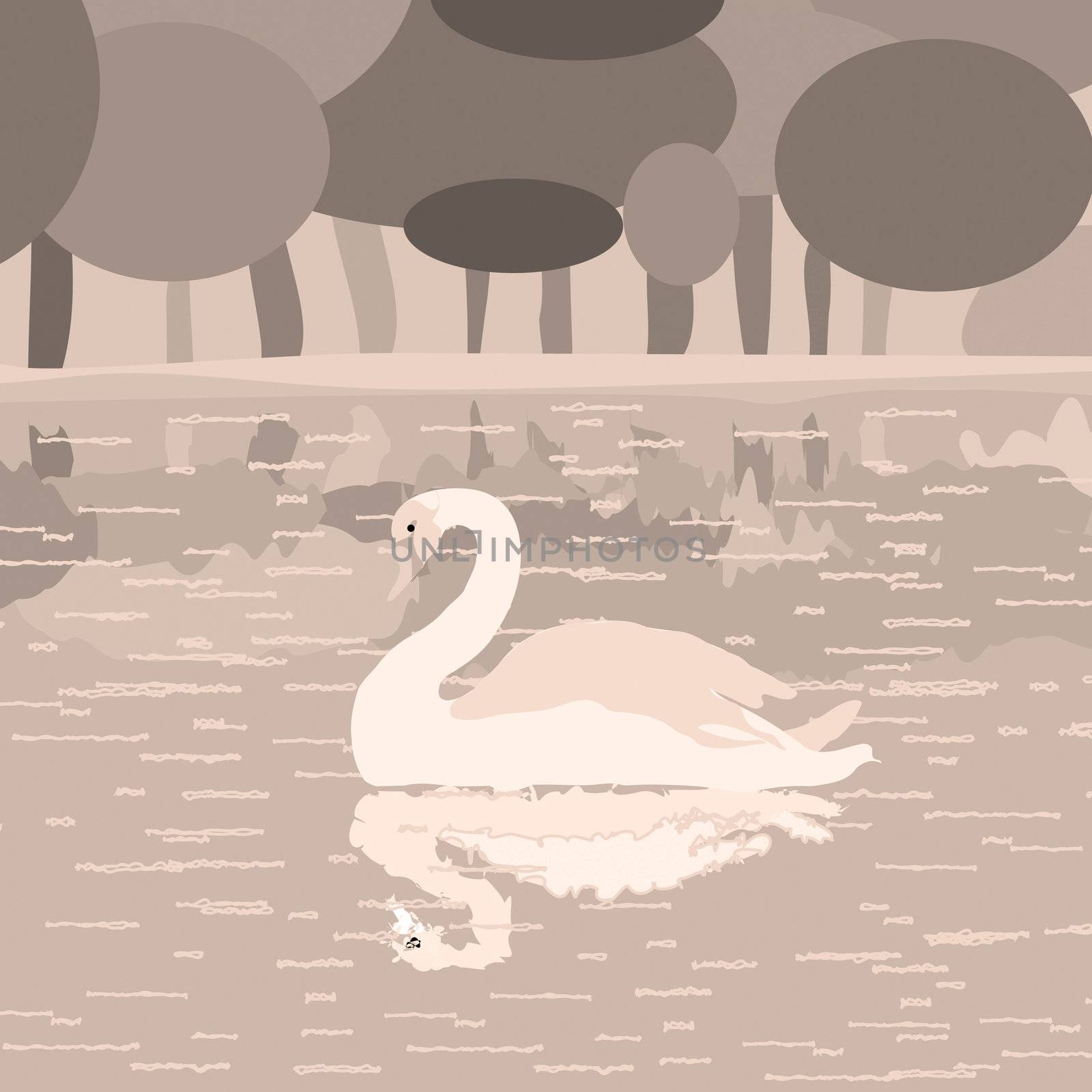 swan on a lake by Lirch