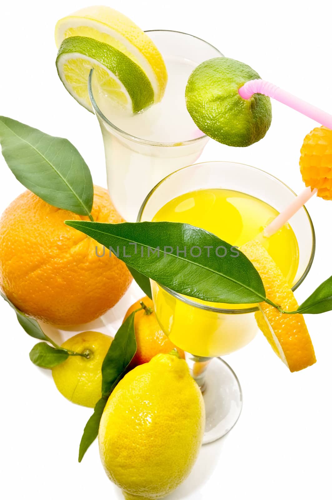 tropical cocktail on the white background
