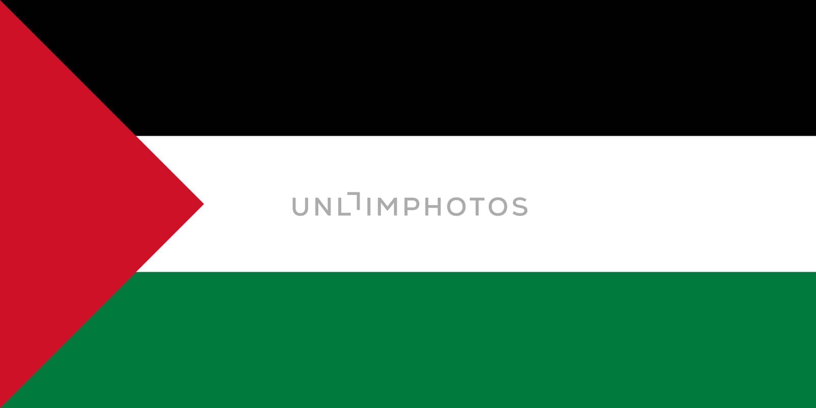 The national flag of Palestine by claudiodivizia