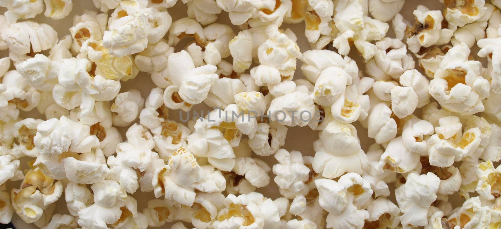 Pop corn maize useful as a background