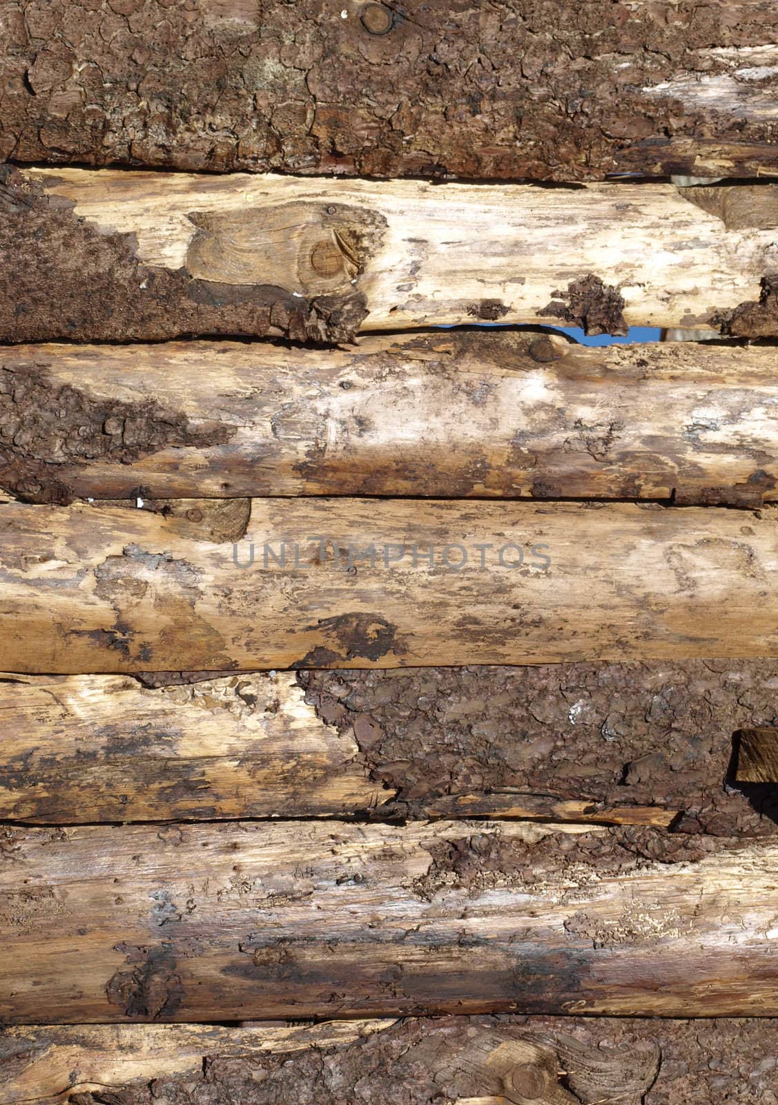 Old wood logs or plank board background