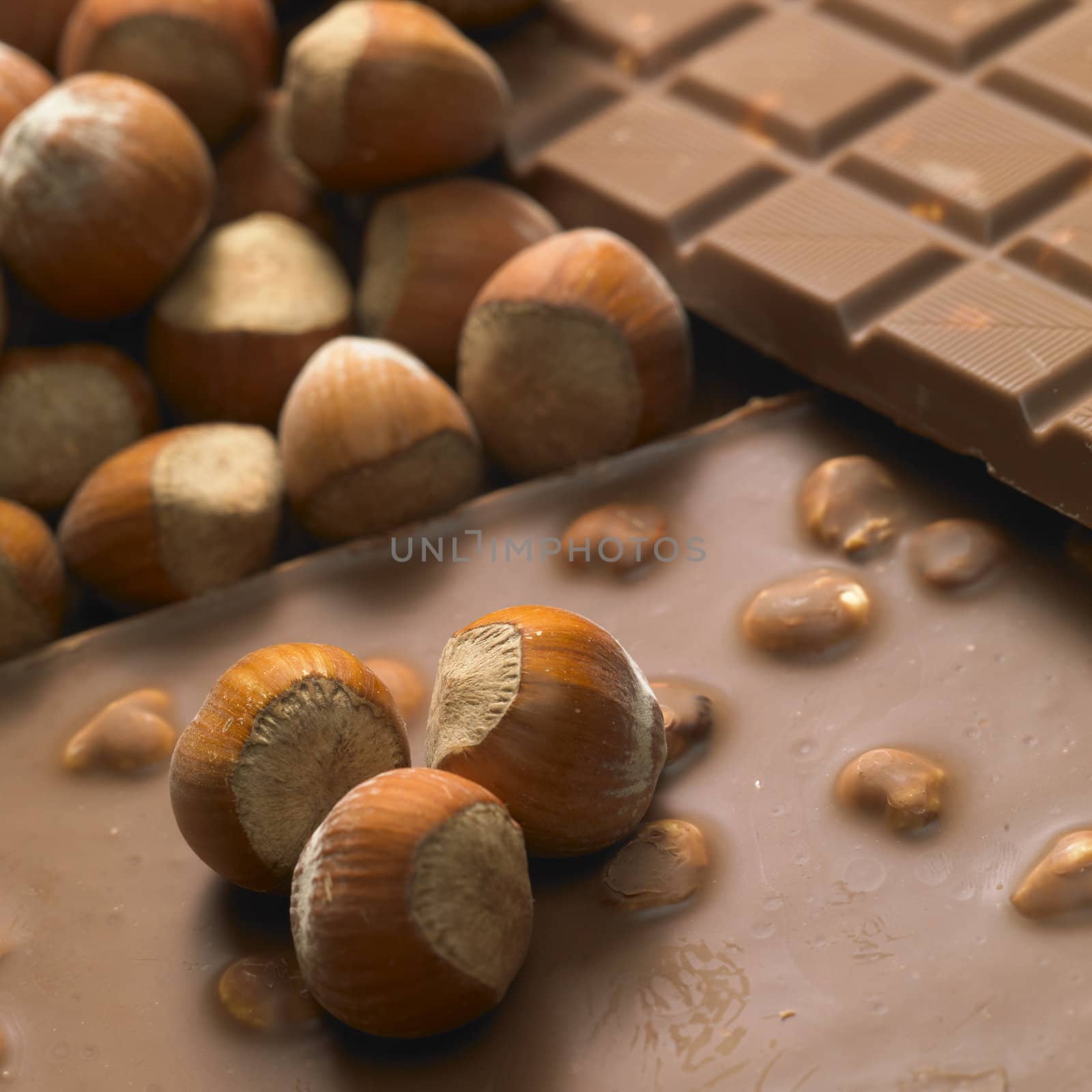 chocolate bars with hazelnuts by phbcz