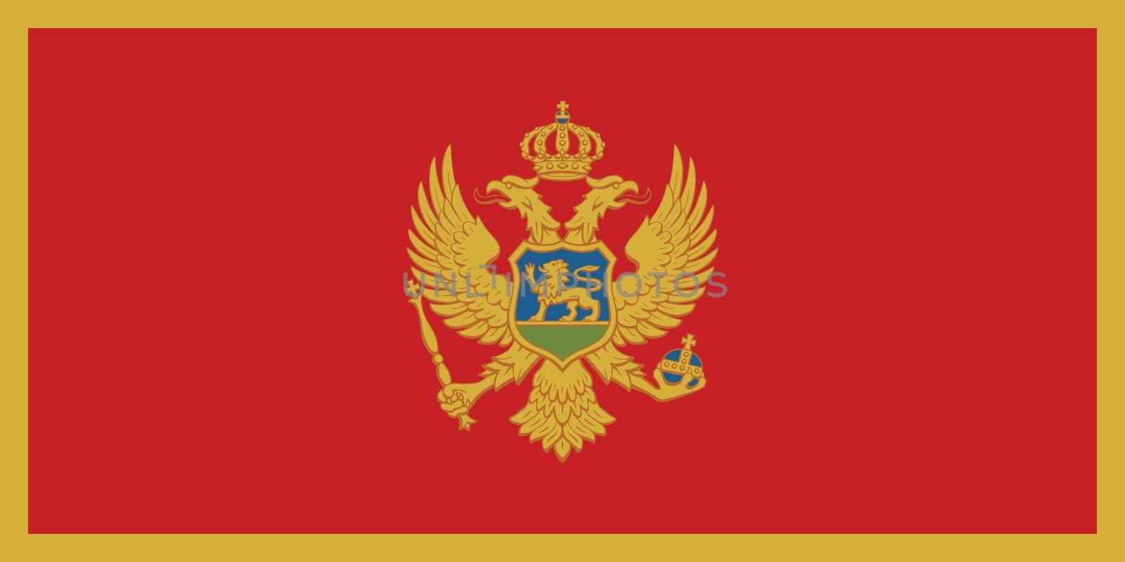 The national flag of Montenegro by claudiodivizia