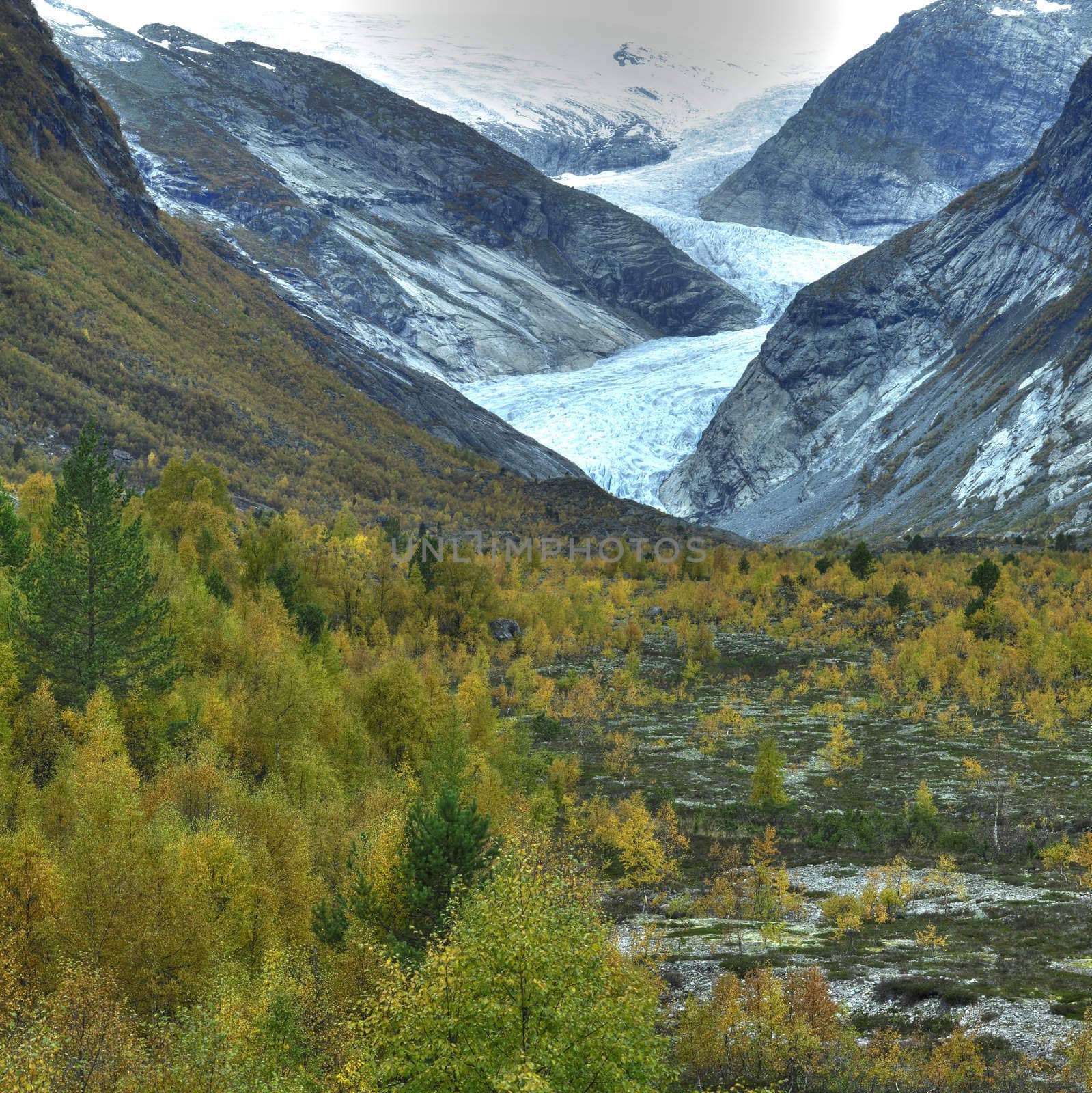 Nigardsbreen Glacier, Jostedalsbreen National Park, Norway