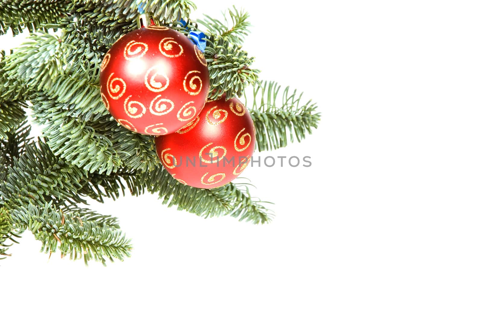 Red christmas ball in tree with room for text isolated on white background