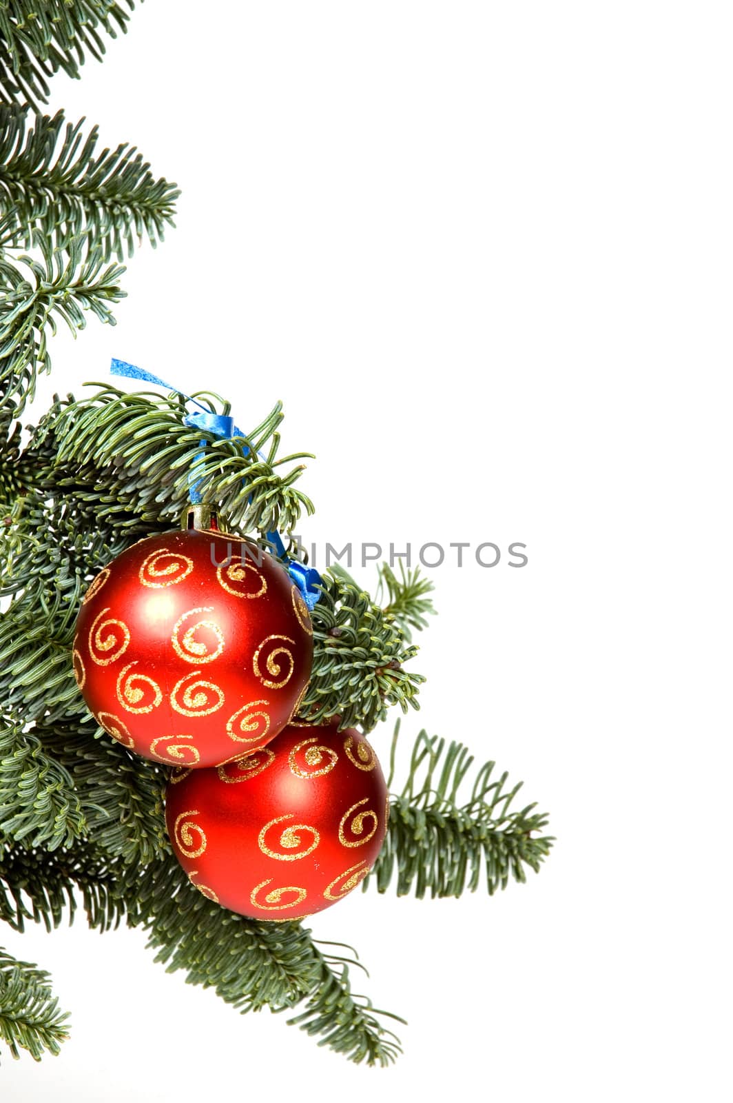 Red christmas ball in tree with room for text isolated on white  by ladyminnie