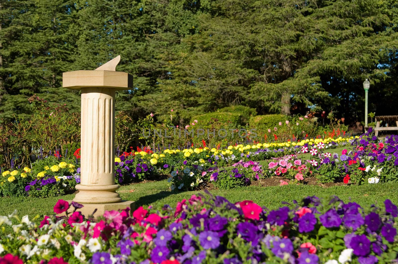 beautiful garden