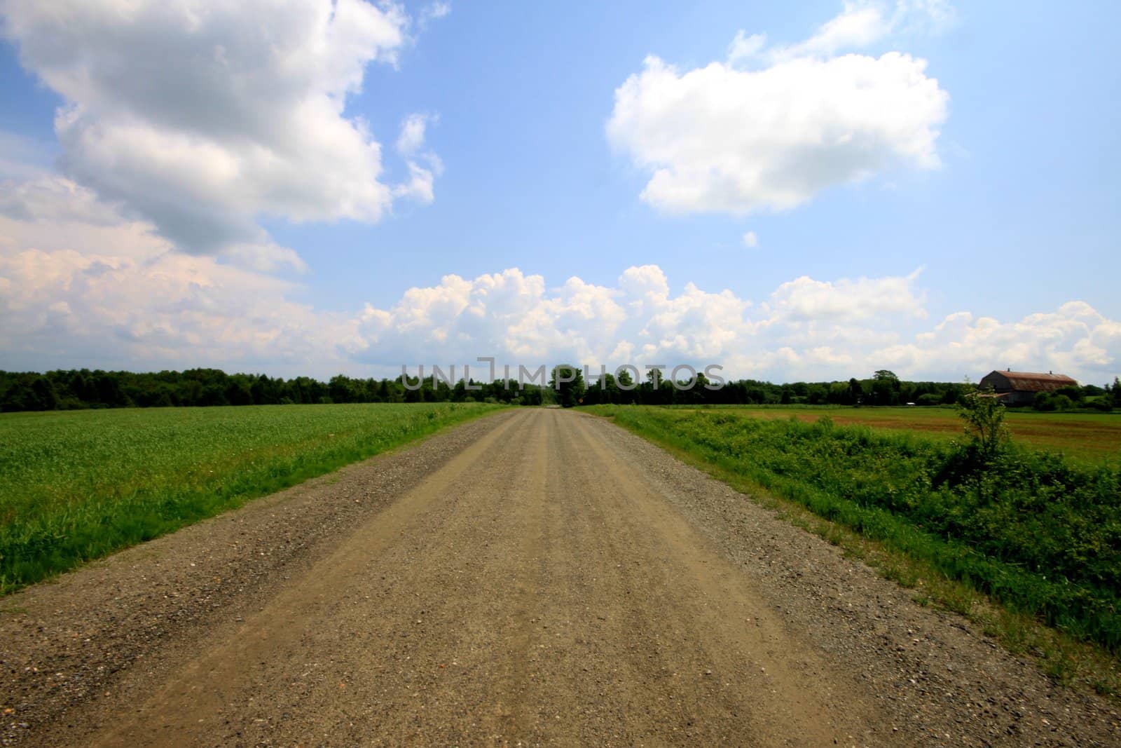 Straight country road by dbriyul