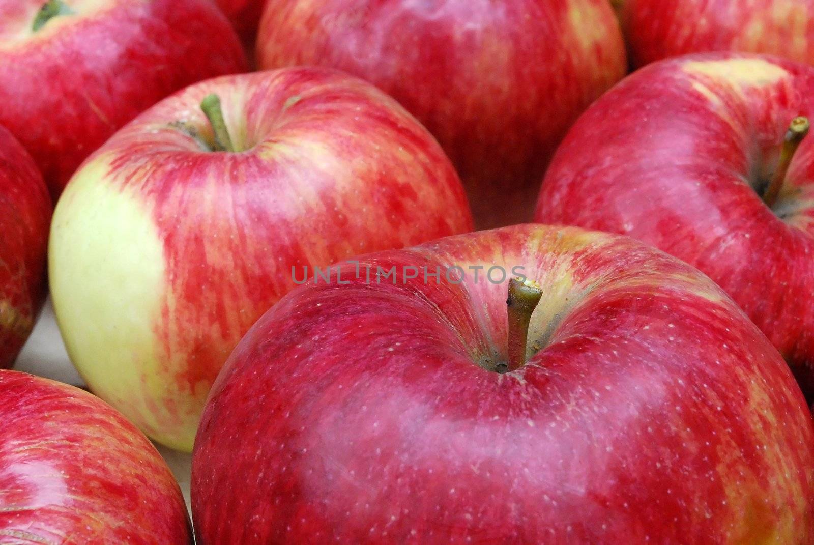 Closeup of Red Apples Stacked in Rows