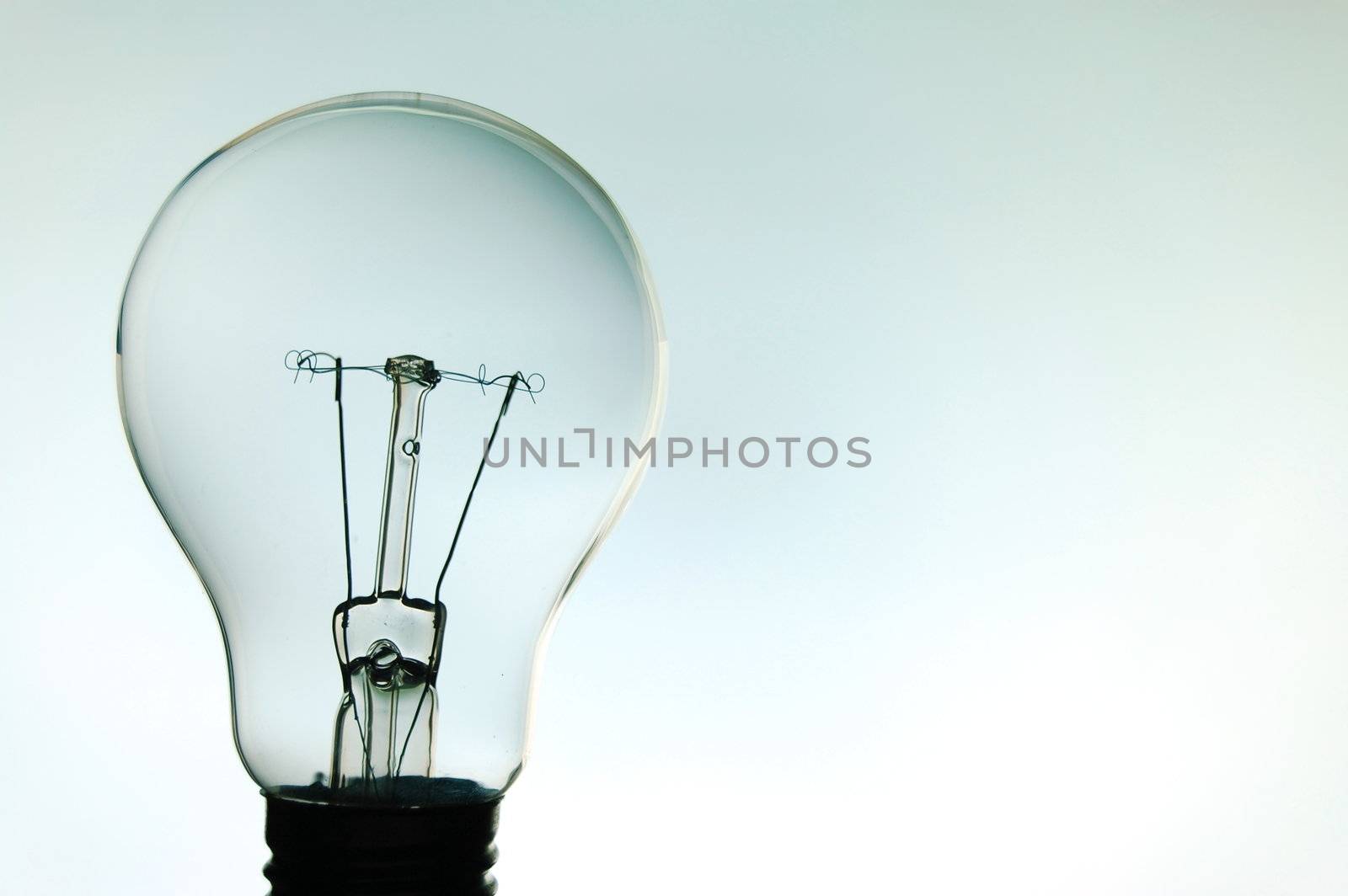 bulb by gunnar3000