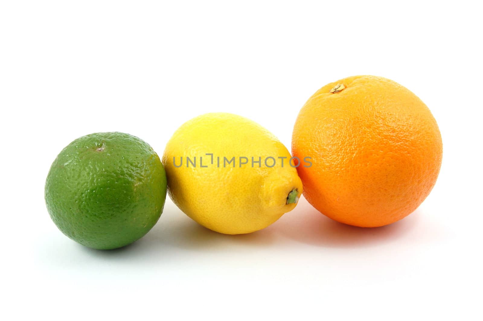 fresh lemon , orange , and citron fruits isolated on a white background