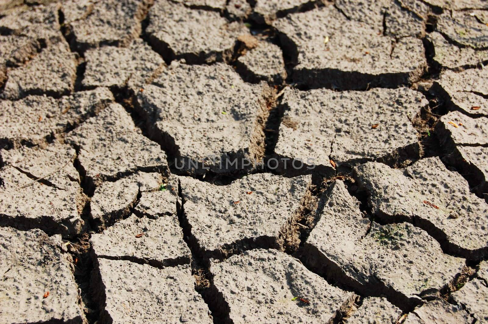 dry and cracked soil in hot summer on a farm