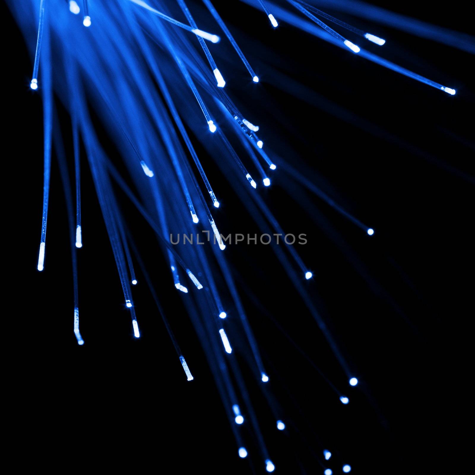 wallpaper with intetnet technology concept showing fiber opticsc