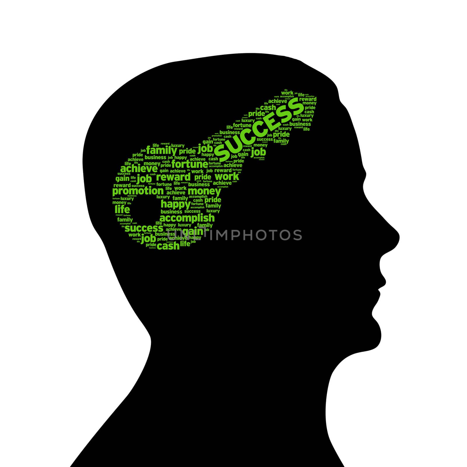 Silhouette head with a Key to success illustration on white background.