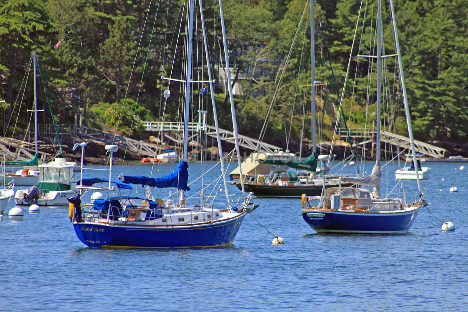 Anchored sailboats inside a coastal bay area