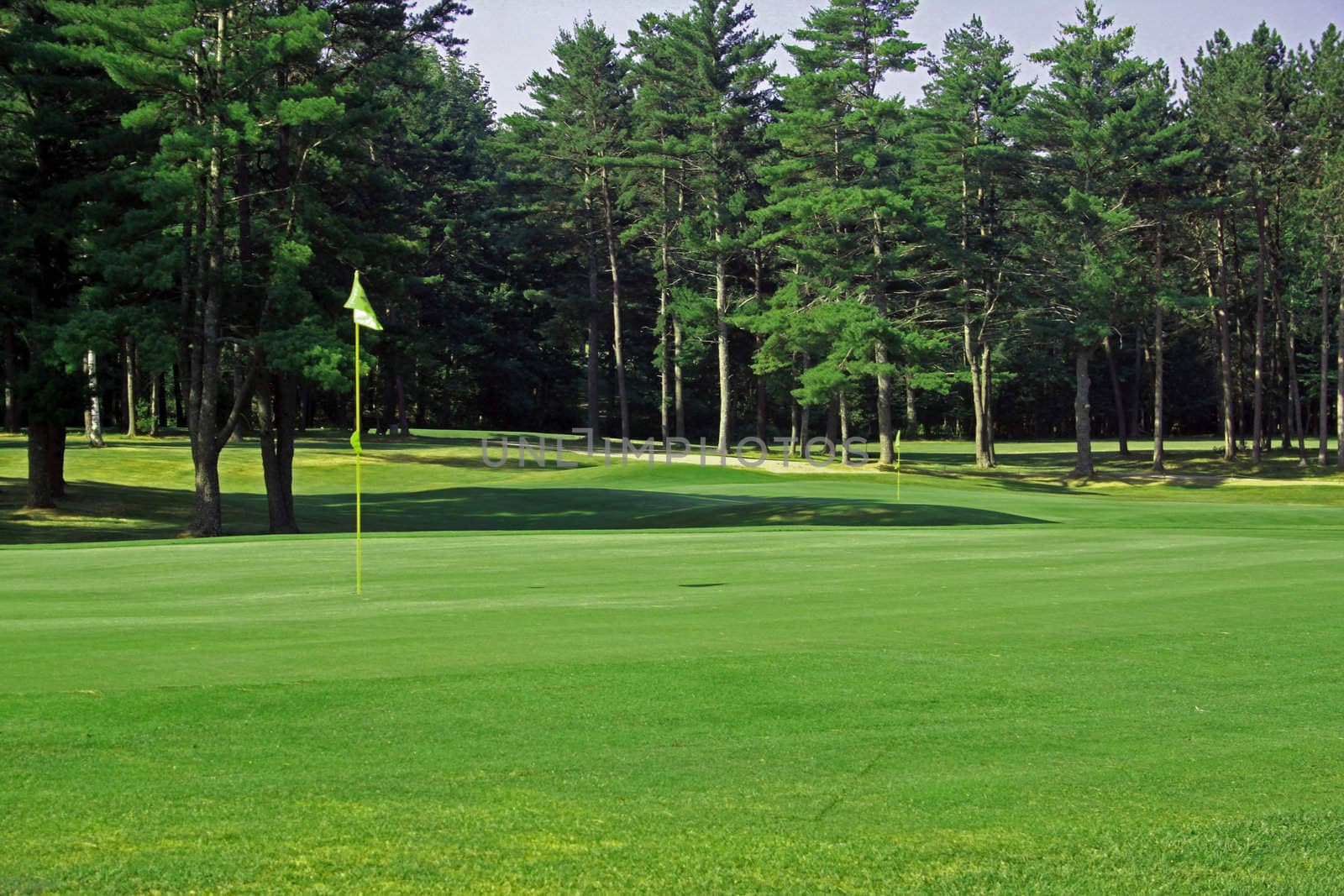 View of a golf green with the flag on the left side