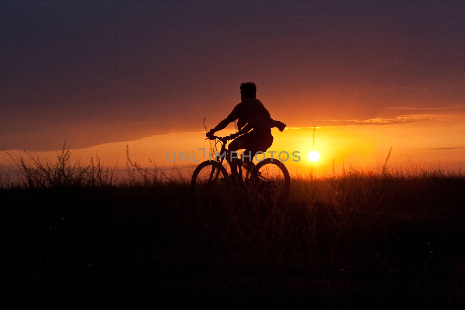 summer cyclist by agg