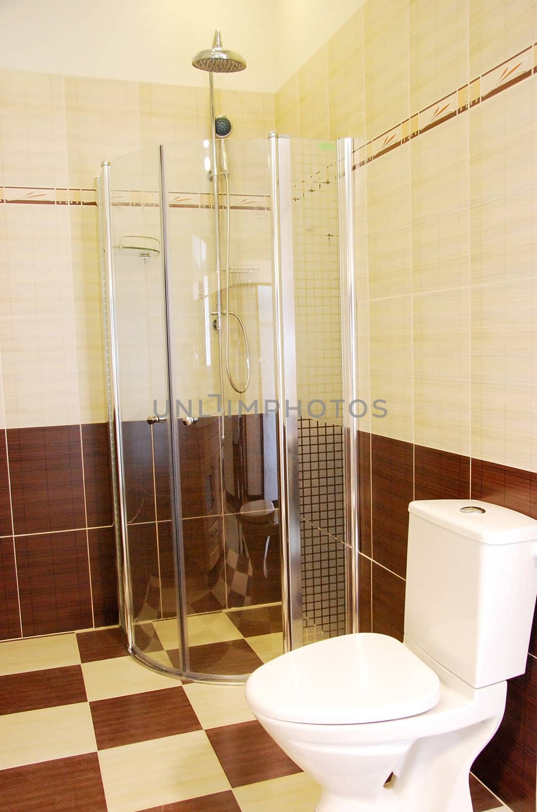 Contemporary bathroom interior with shower and toilet