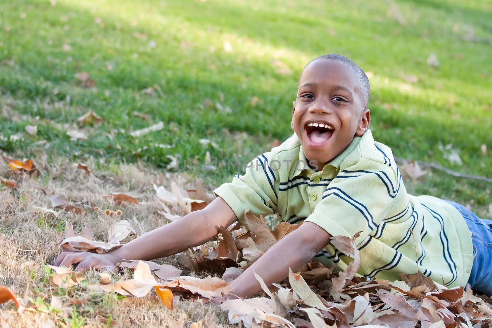 Young African American Boy in the Park by Feverpitched