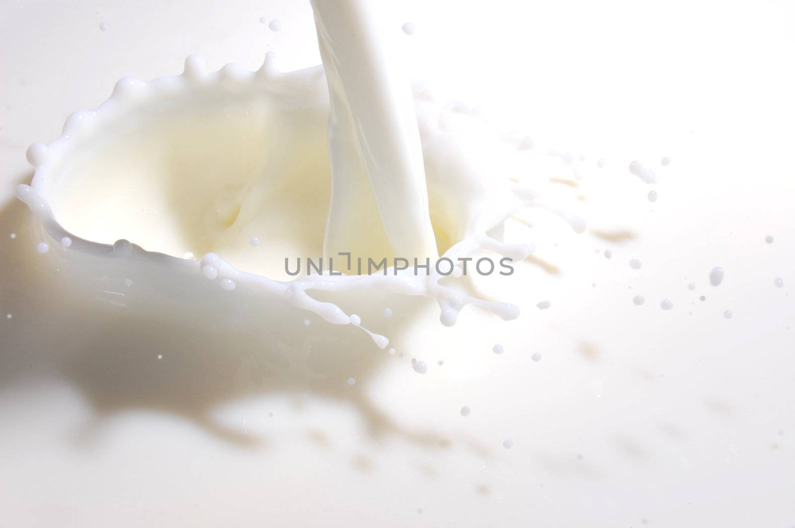 milk splashes with many drops into fresh milk