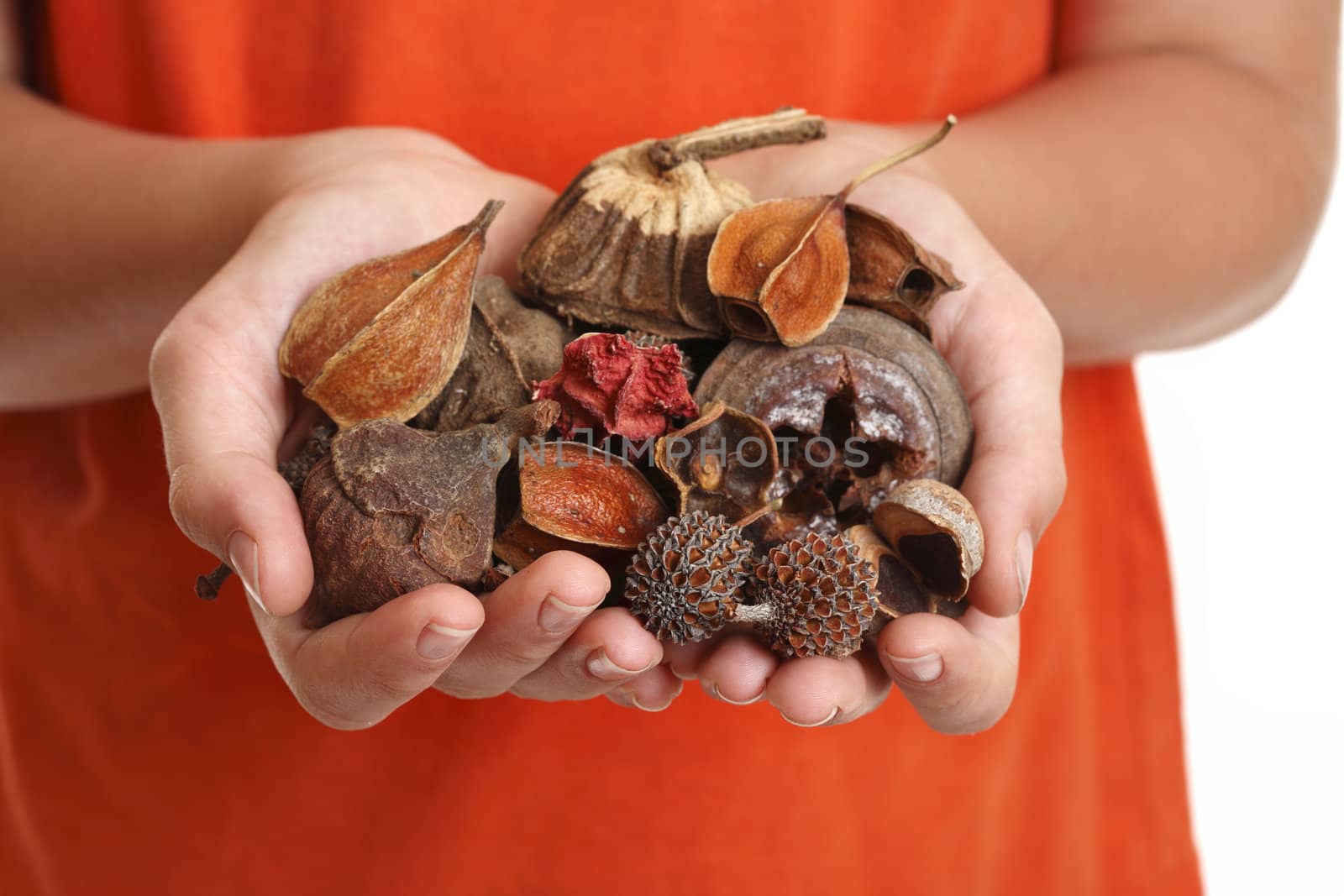 Potpourri is a  scented mixture of dried, naturally fragrant plant materials such as seeds, dried flowers, bark, nuts, leaves and cones.