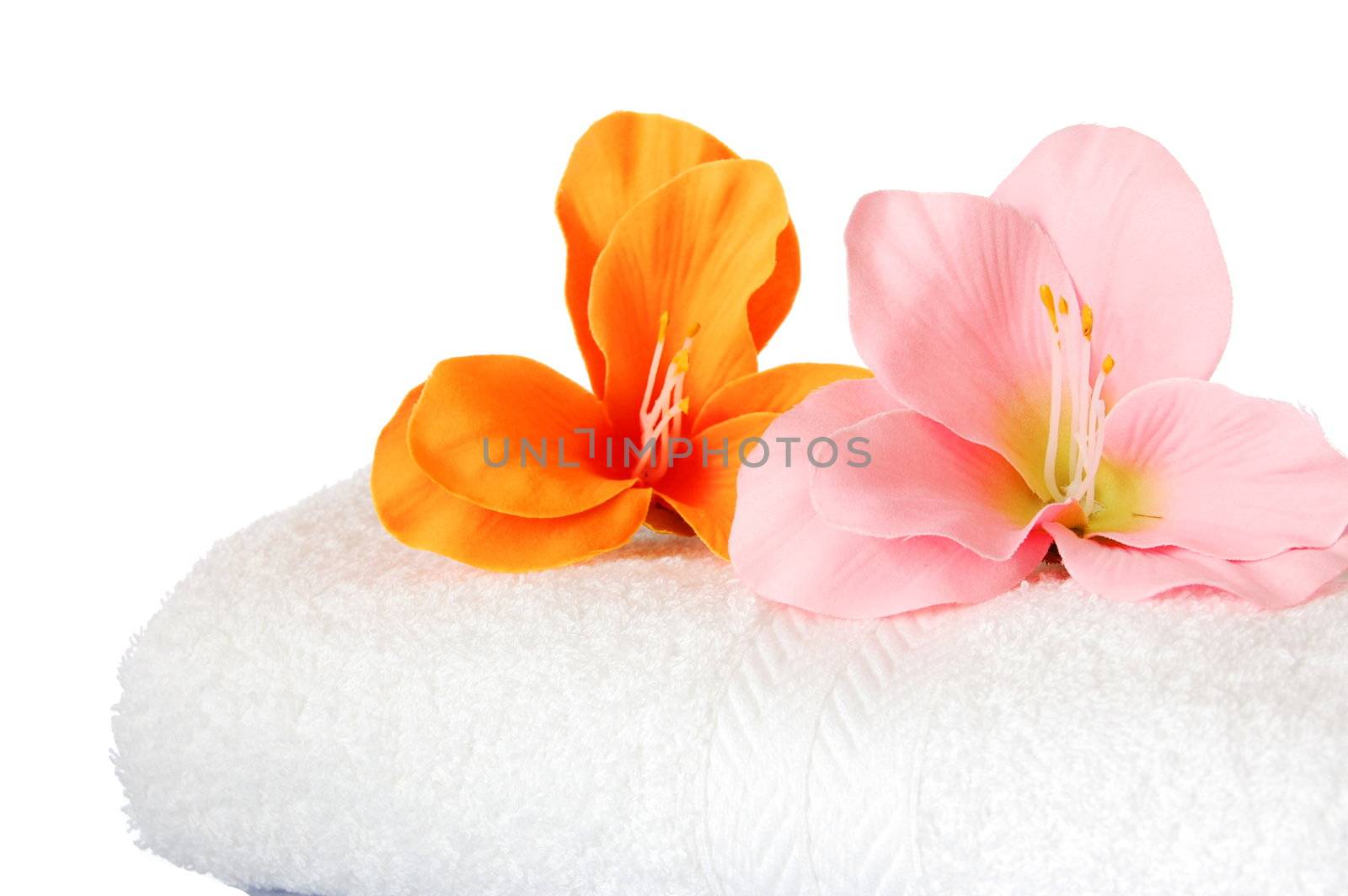 spa still life with towel and flower showing wellness concept