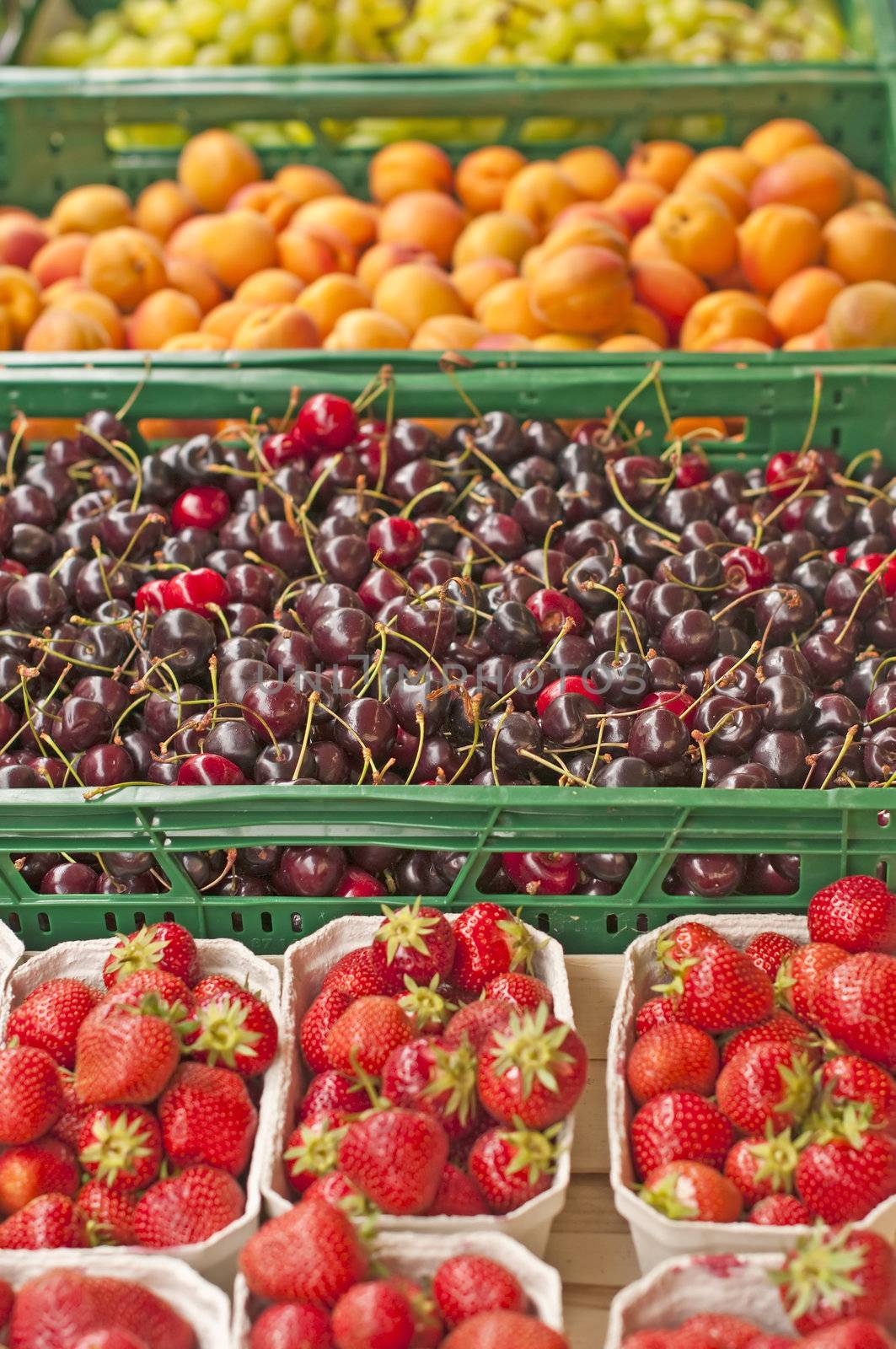 cherry and fruits by Jochen