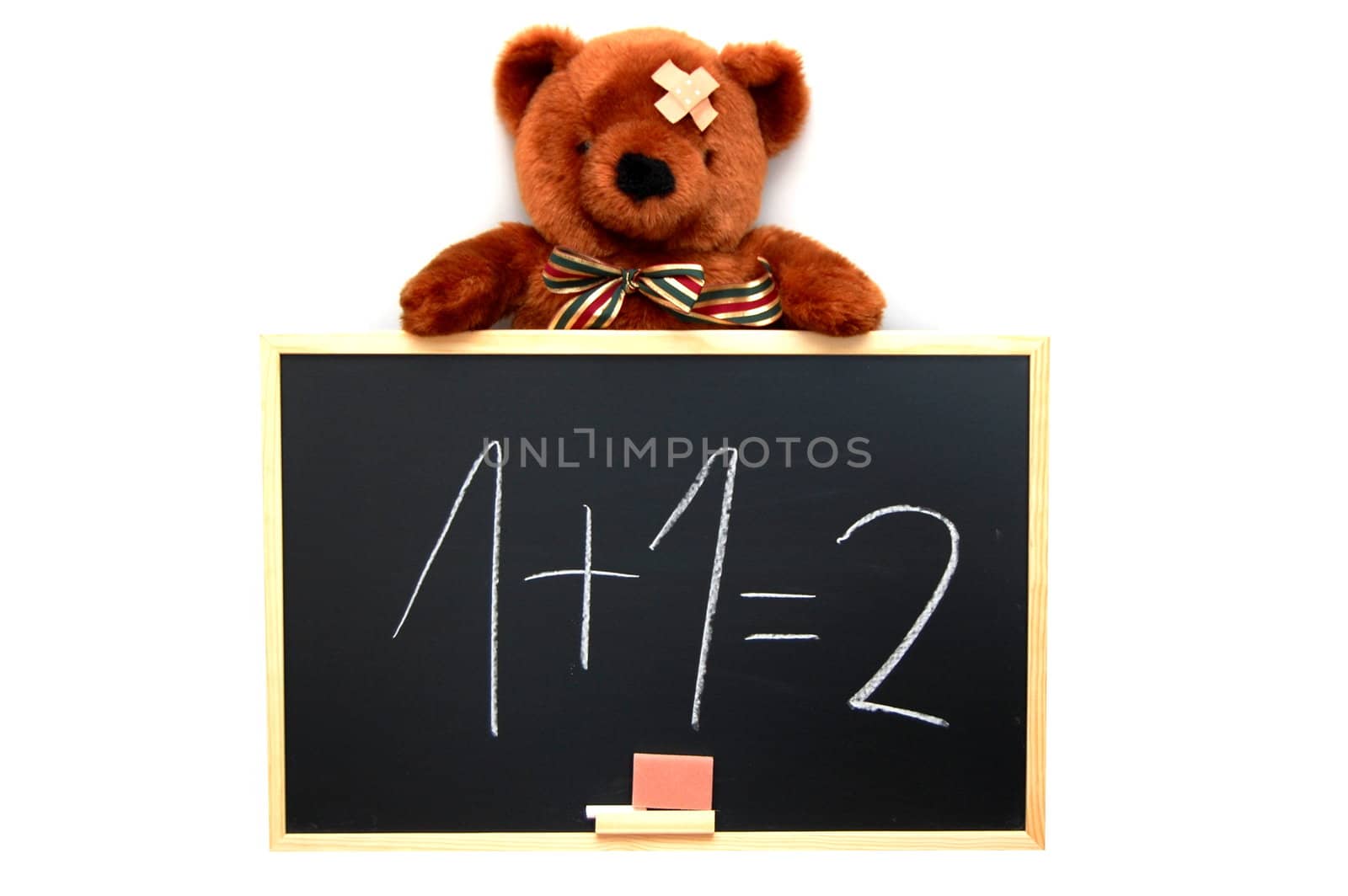 teddy with blackboard isolated on white background
