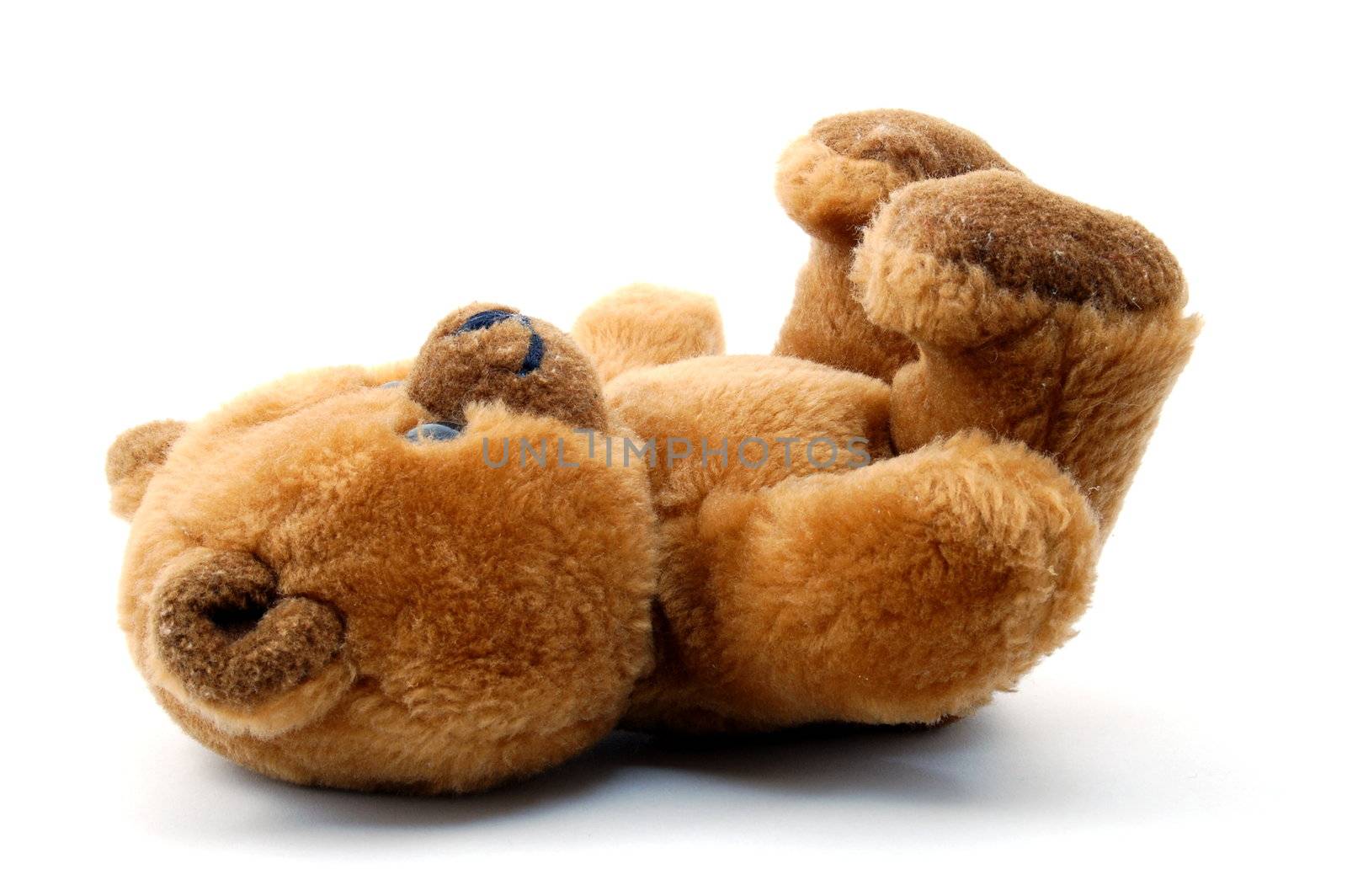 teddy bear isolated on white background by gunnar3000