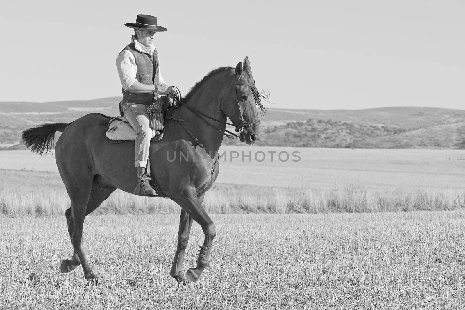 practicing with his horse rider dressage in nature
