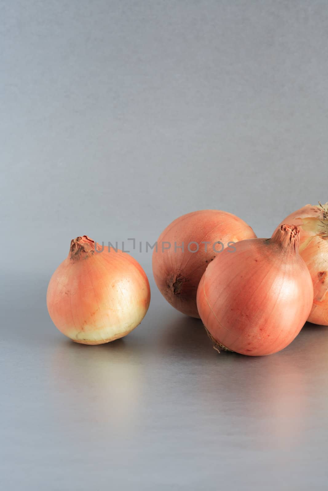 Onions On Gray by kvkirillov