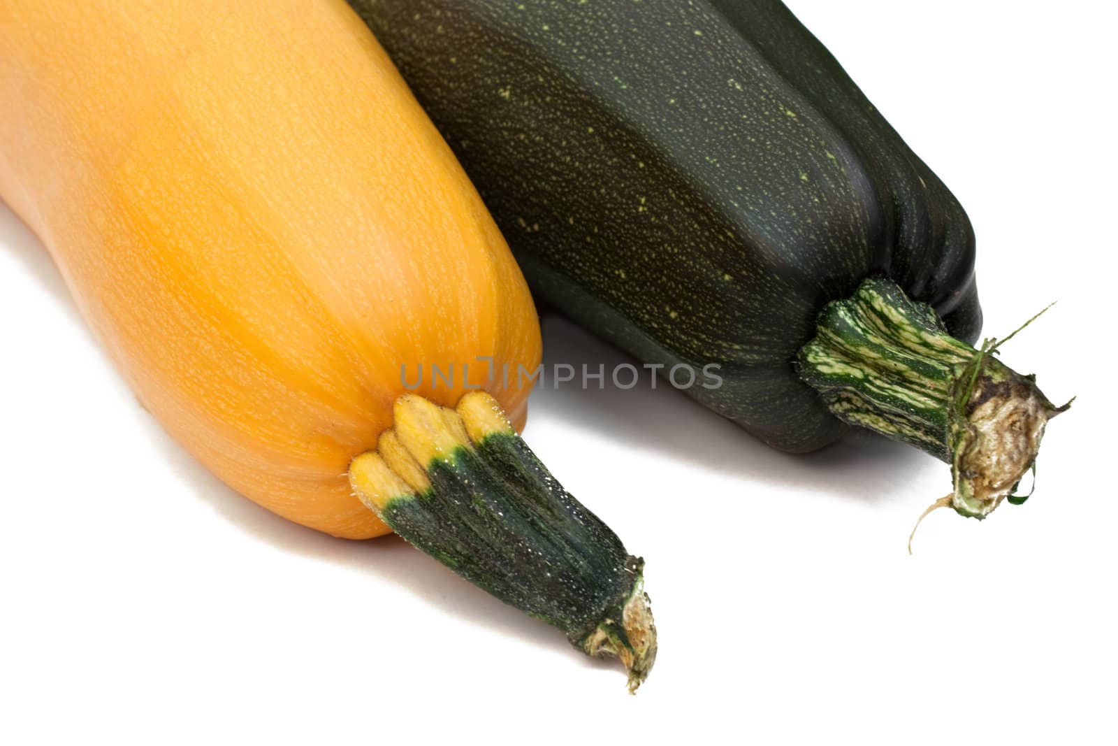 Vegetable marrow and pumpkin isolated on white