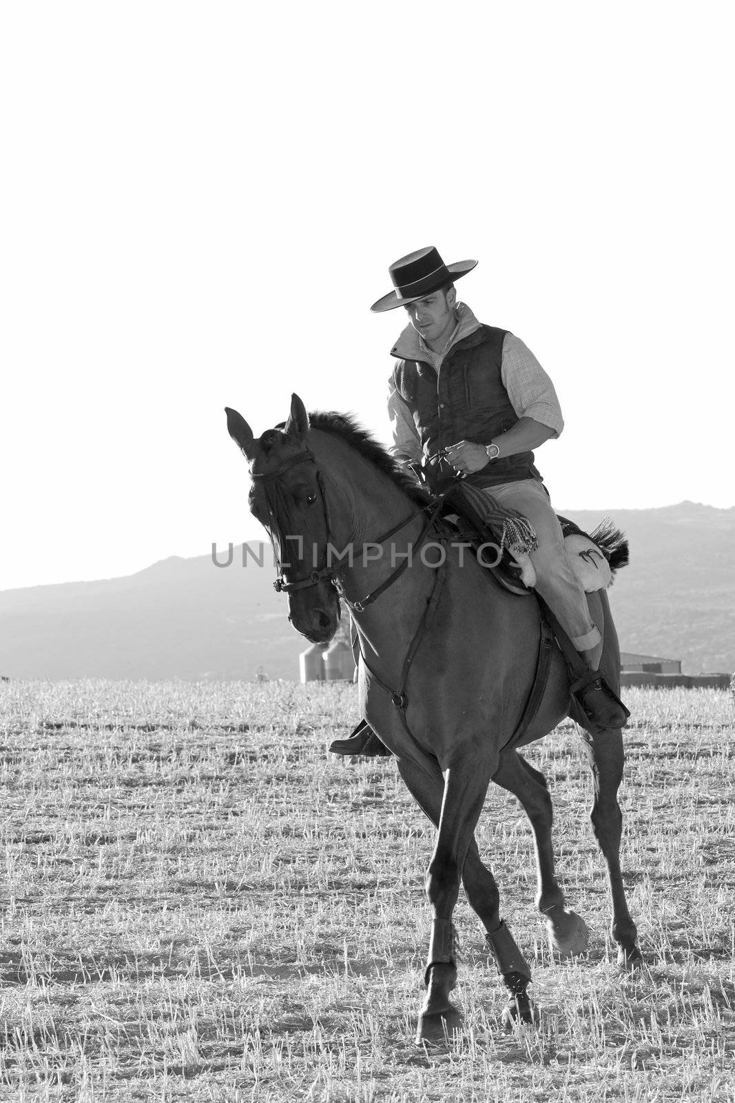 practicing with his horse rider dressage in nature
