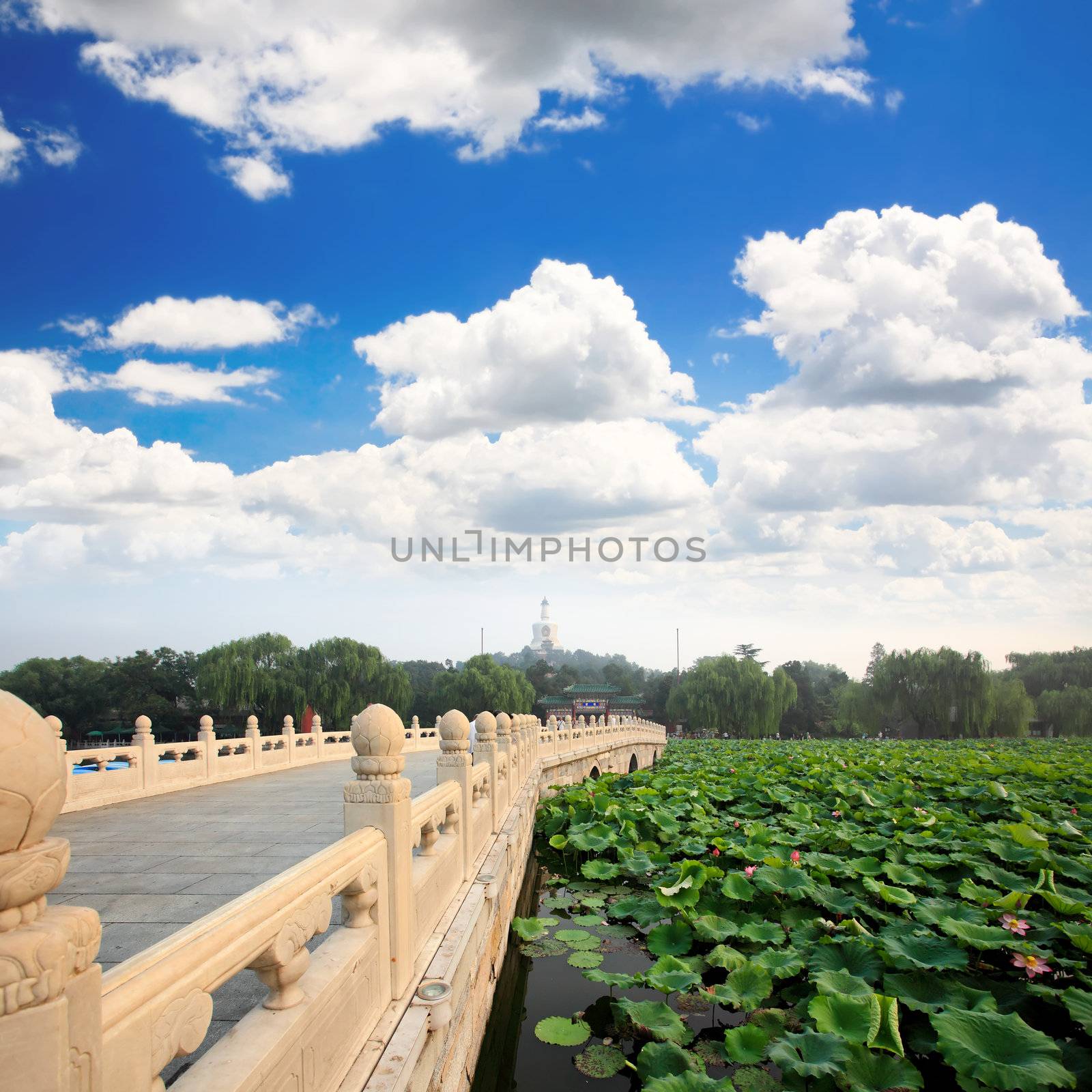 The Beihai Park near Forbidden City Beijing  by gary718