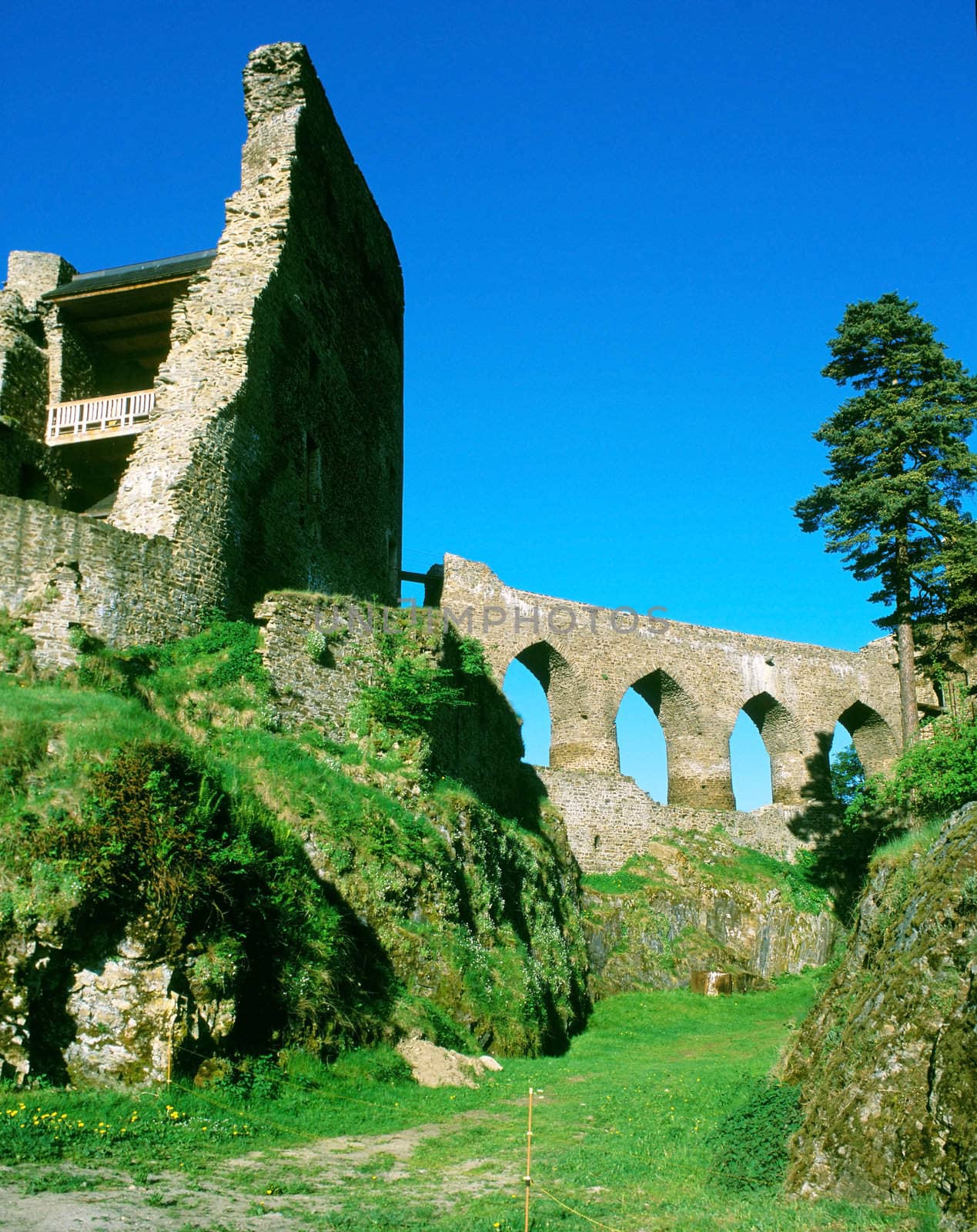 ruins of Velhartice castle, Czech Republic