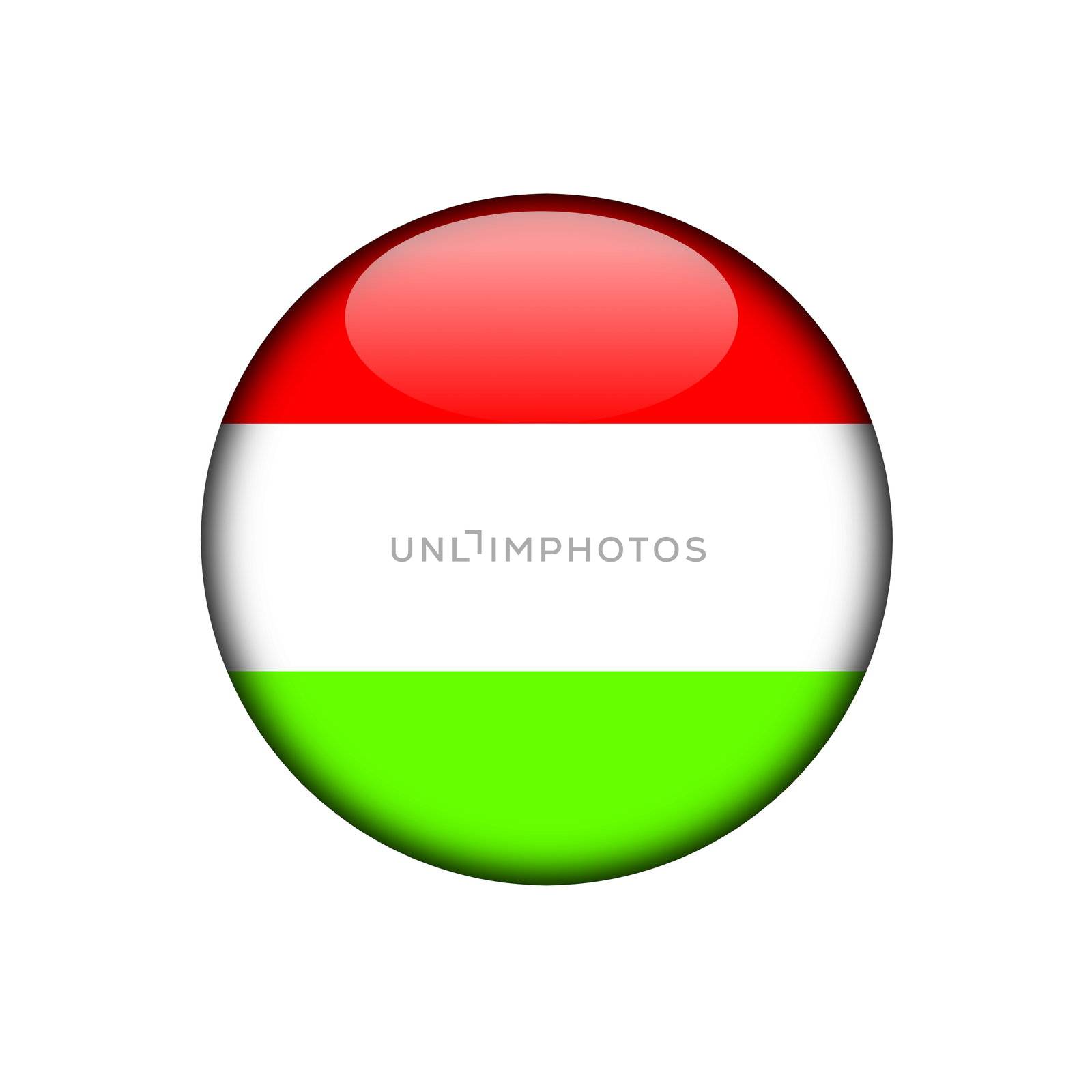 hungary button flag sign or badge for website