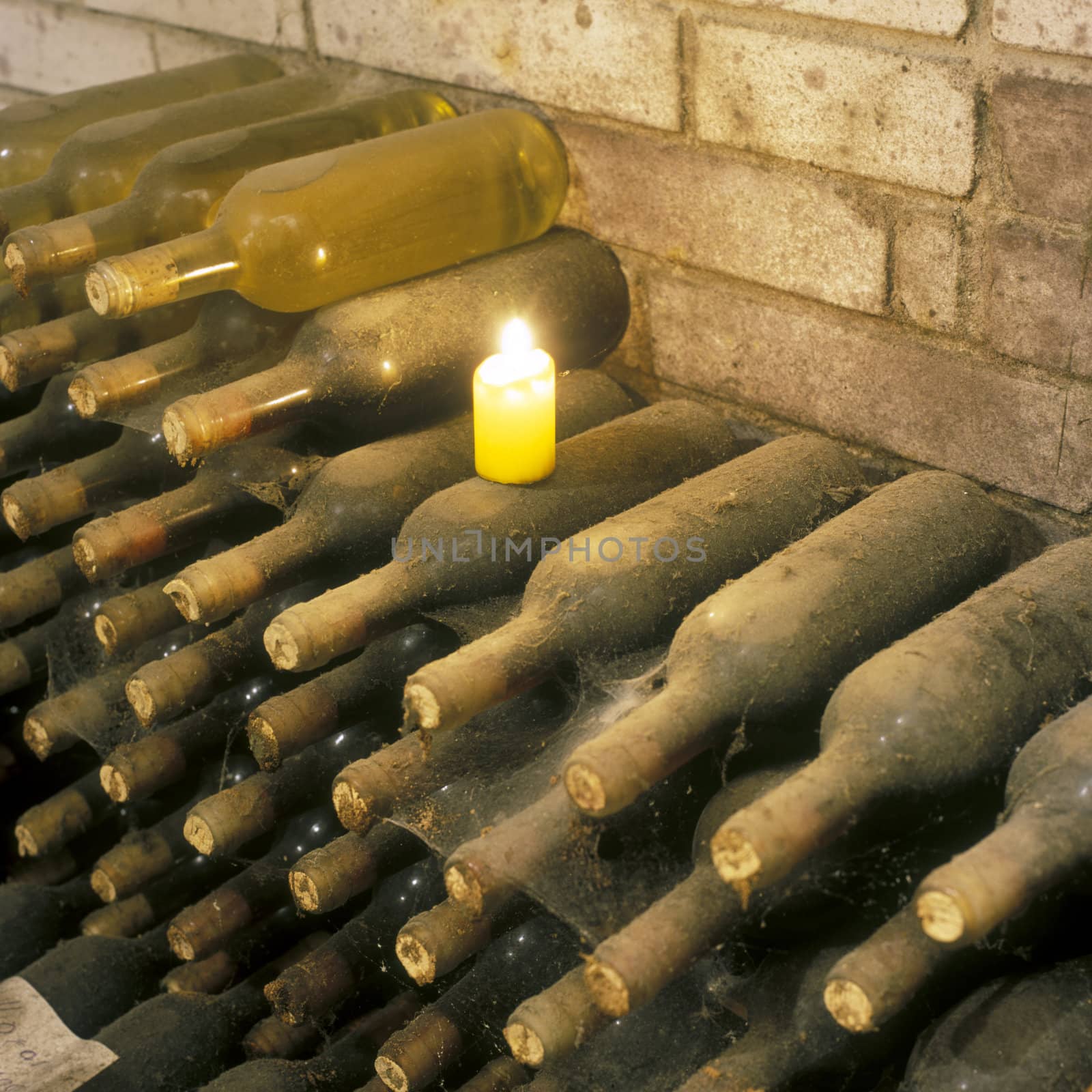 Frantisek Polehna winery, wine cellar, Blatnice pod svatym Antoninkem, Czech Republic