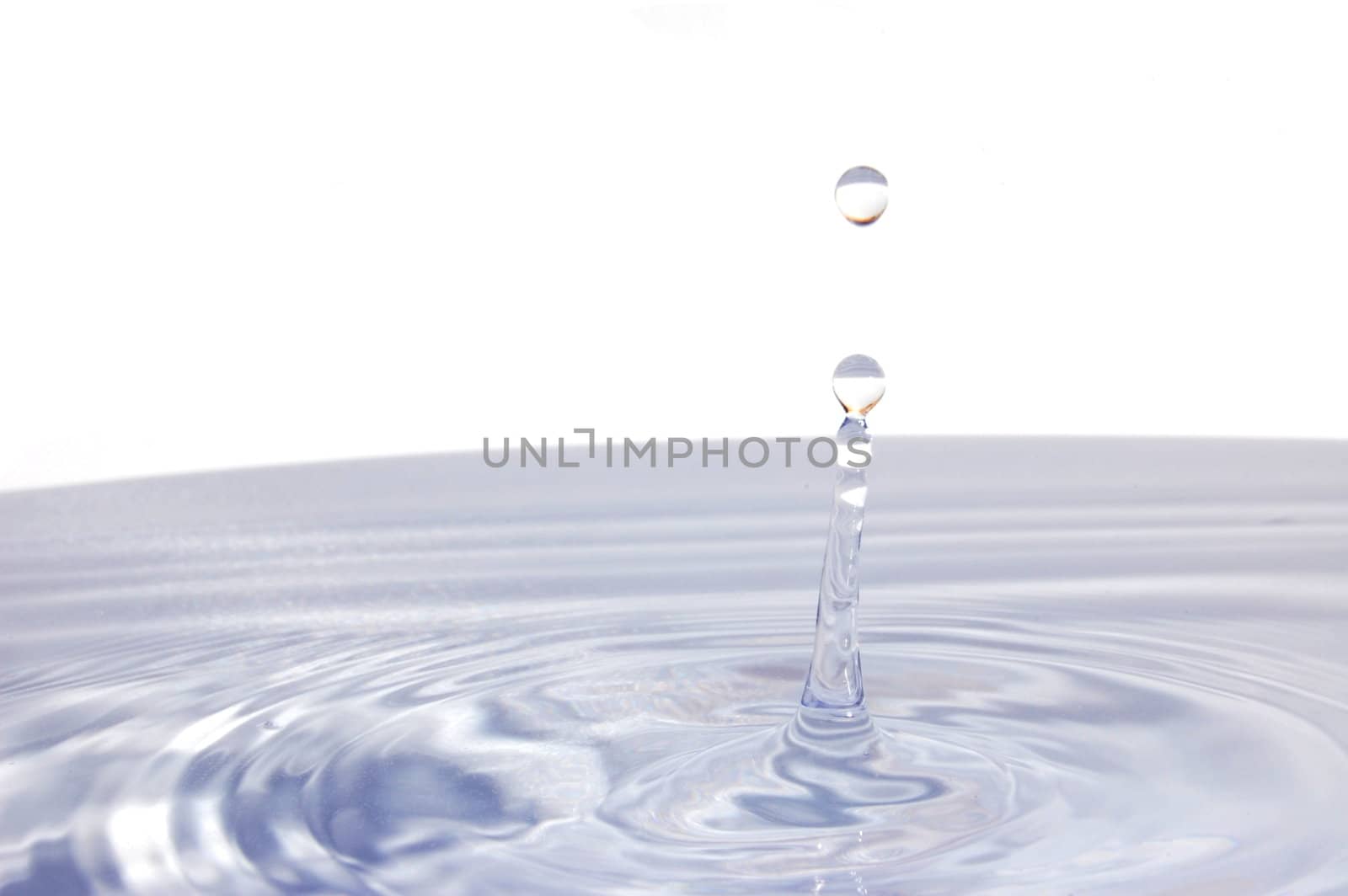 water drop isolated on white by gunnar3000