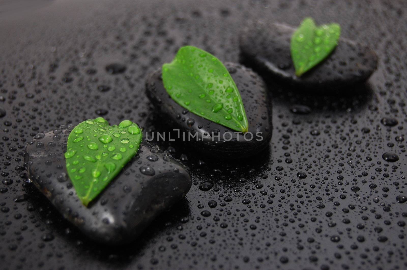 wellness massage or bath concept with zen stones leafes and water drop