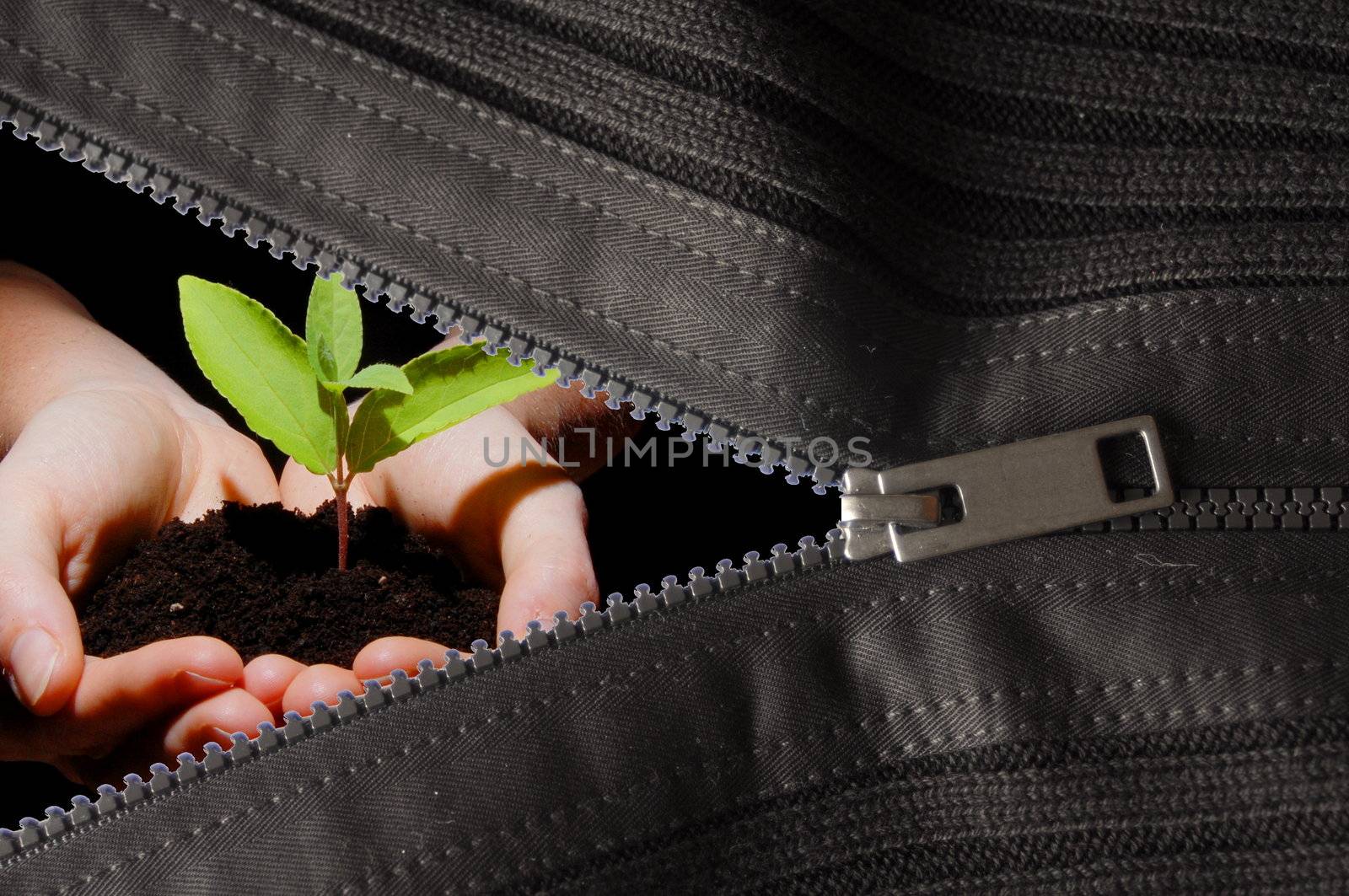 tiny plant behind zipper showing growth concept