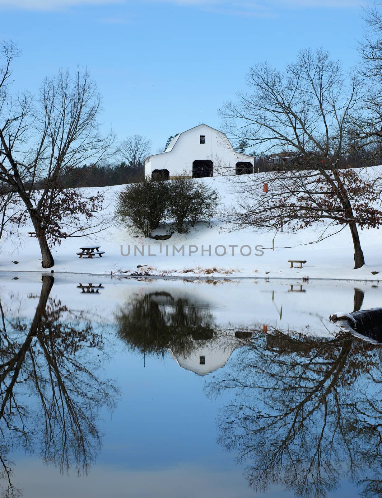A winter scene at a small lake in rural North Carolina
