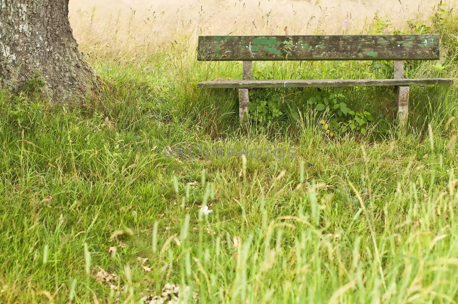 park bench idyll