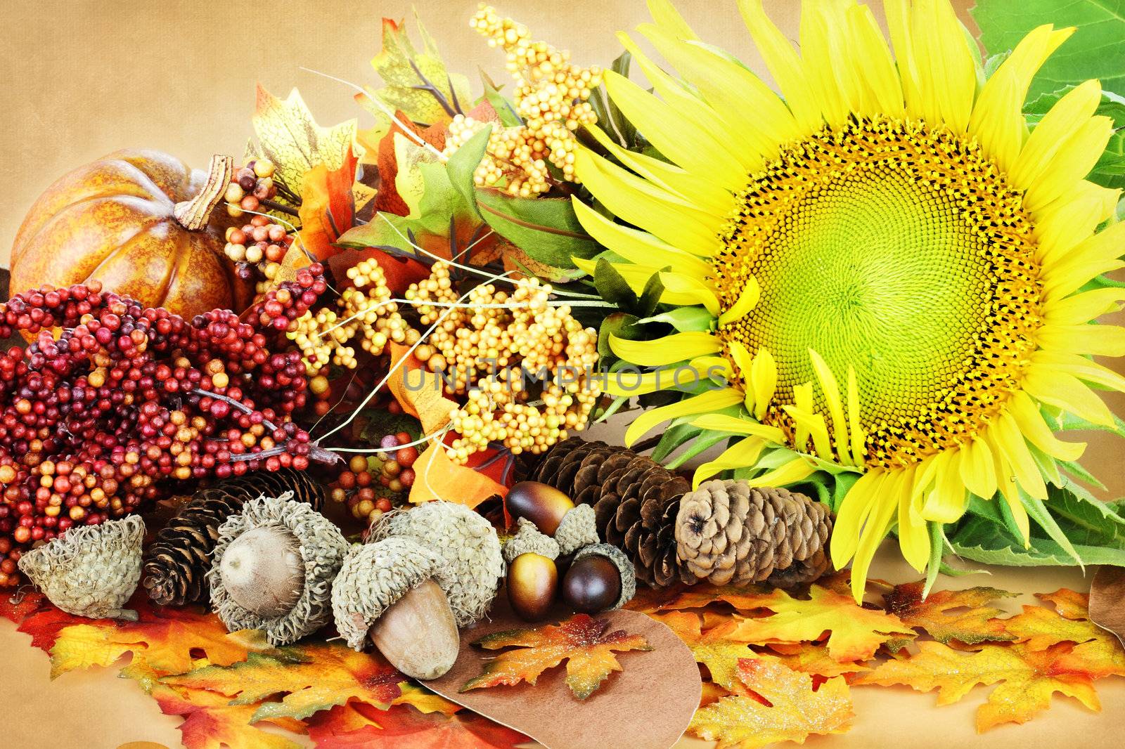 Autumn decorations and flowers with pumpkins, acorns and leaves.
